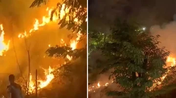 Meşale kutlaması otluk alanda yangın çıkardı