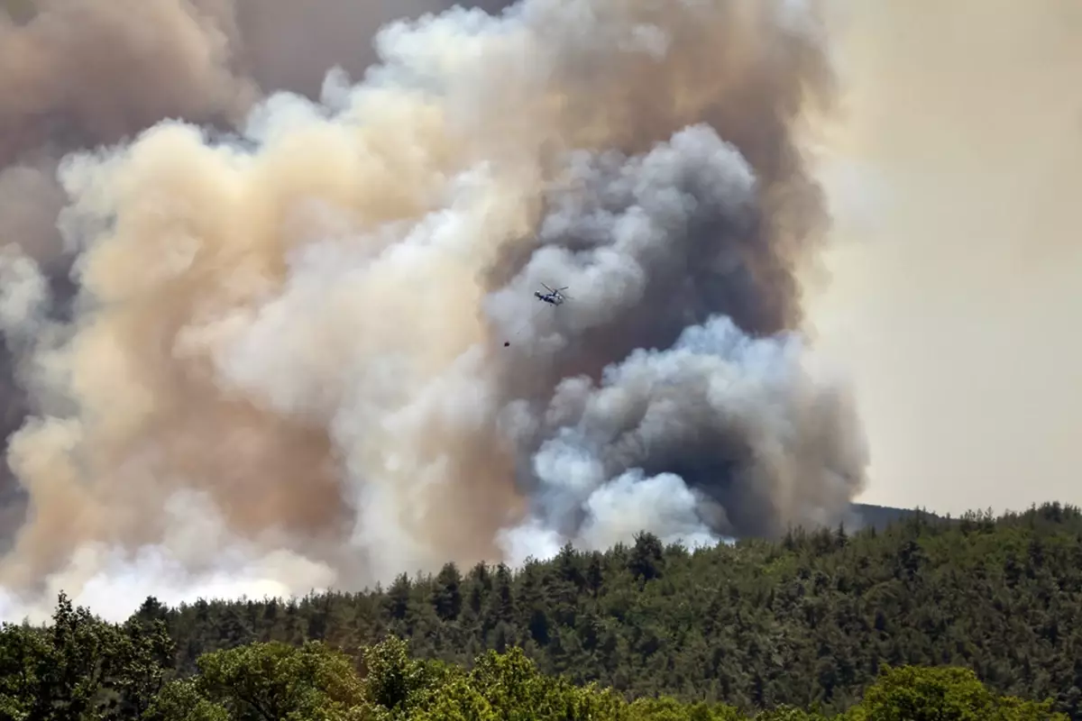 Sakarya’da günlerce yanan ormanlık alanda erkek cesedi bulundu