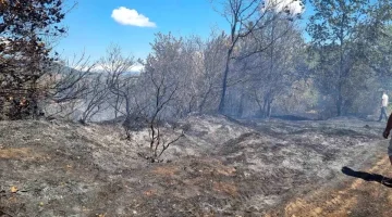 Hendek’te Orman Yangını Kontrol Altına Alındı