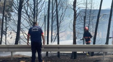 Ağaçlık alanda çıkan yangın, kontrol altına alındı